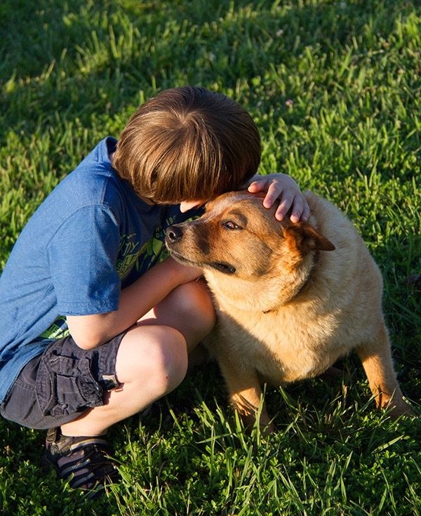 A boy hugging his dog in the grass